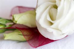 Les Fleurs Du Bourg, Sottevast - Horaires d'ouverture
