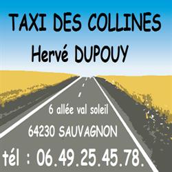 Taxi Aéroport PAU-PYRENEES - Taxi Des Collines, Sauvagnon - Horaires d'ouverture