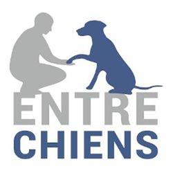 Entre Chiens, Tullins - Horaires d'ouverture