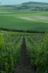 Presta Horizon, Pierre-Morains - Horaires d'ouverture