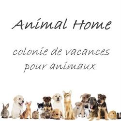 Animal Home, Still - Horaires d'ouverture