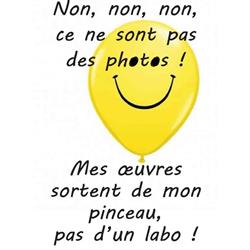 Michel BORRO, Bully - Horaires d'ouverture