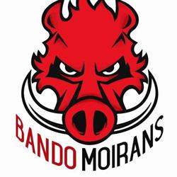 Boxe Moirans, - Horaires d'ouverture