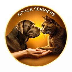 Atylla Services, Heugleville-sur-Scie - Horaires d'ouverture