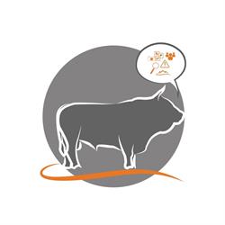 Com' en Aubrac, Laguiole - Horaires d'ouverture