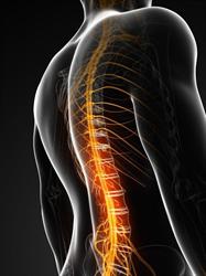 Frédéric Scialom OSTEOPATHE, Marseille - Horaires d'ouverture