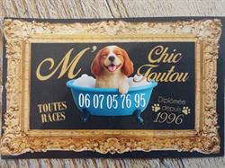 M Chic Toutou, Le Fenouiller - Horaires d'ouverture