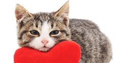 Le Refuge Des Pachats, Longecourt-en-Plaine - Horaires d'ouverture