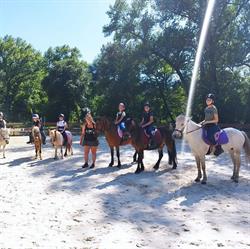 Les Petits Cavaliers, Auribeau-sur-Siagne - Horaires d'ouverture