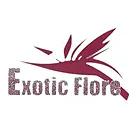 Exotic Flore, Arc-sur-Tille - Horaires d'ouverture