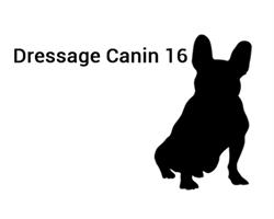 Dressage canin 16, Pranzac - Horaires d'ouverture