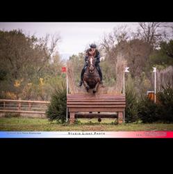 Haras De Mougins, - Horaires d'ouverture