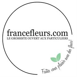 France Fleurs, Bordeaux - Horaires d'ouverture