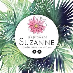 Pépinière Les Jardins de Suzanne, La Couarde-sur-Mer - Horaires d'ouverture