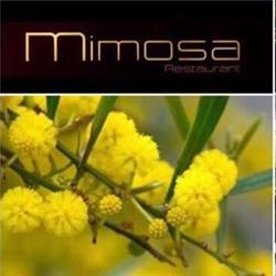 Restaurant Mimosa 284 boulevard du front de Mer 83230 bormes les mimosas, Bormes-les-Mimosas - Horaires d'ouverture