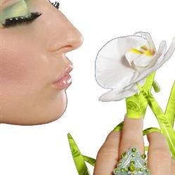 Nails an'gel / Brive-la-Gaillarde, - Horaires d'ouverture