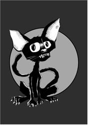 Le Chat Noir, Cherbourg-en-Cotentin - Horaires d'ouverture