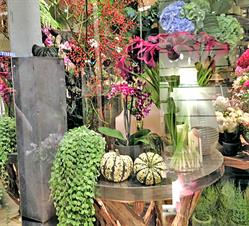 L'Herbe et la Rose, Neuilly-sur-Seine - Horaires d'ouverture