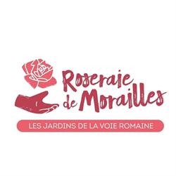 Roseraie de Morailles - les Jardins de la voie romaine, Pithiviers-le-Vieil - Horaires d'ouverture