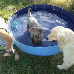 Bonheur Canin, Pouilly - Horaires d'ouverture