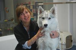 Dog's paradise, Sangatte - Horaires d'ouverture