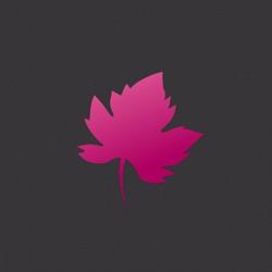Les Vins Du Capitan Seynod, Annecy - Horaires d'ouverture