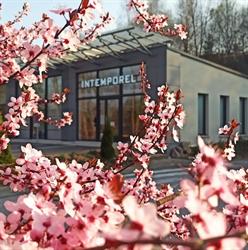 Intemporel coiffeur créateur, Dinozé - Horaires d'ouverture