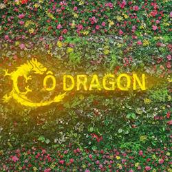 Ô Dragon, Saint-Étienne - Horaires d'ouverture
