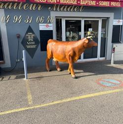 Boucherie madet patrick, Carnoules - Horaires d'ouverture