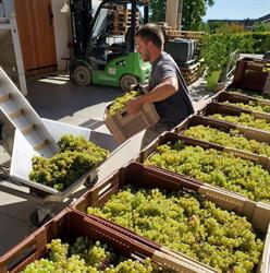 Domaine Gondard Perrin, Viré - Horaires d'ouverture