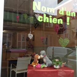 Toilettage Nom d'un chien Dole, - Horaires d'ouverture