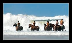 Centre Equestre Marina Mimizan - Horaires d'ouverture
