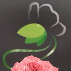 Inflorescence artisan fleuriste, Hettange-Grande - Horaires d'ouverture