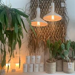 Abaca, Le Touquet-Paris-Plage - Horaires d'ouverture