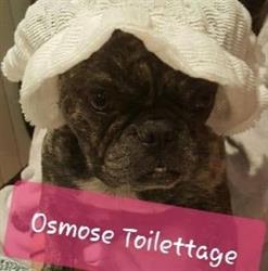 Osmose Toilettage, Quincy-sous-Sénart - Horaires d'ouverture
