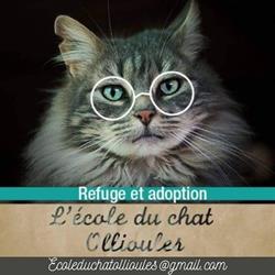 Refuge / Adoption L'école du chat - 83, Ollioules - Horaires d'ouverture