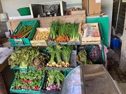 Ferme de Chantecaille - permaculture et agroécologie en Limousin, Eyjeaux - Horaires d'ouverture