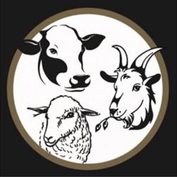 L'Atelier des Fromagères, Romorantin-Lanthenay - Horaires d'ouverture