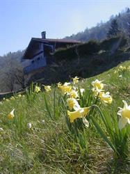 Location chalet le Grand Tetras à La Bresse - Vosges, - Horaires d'ouverture