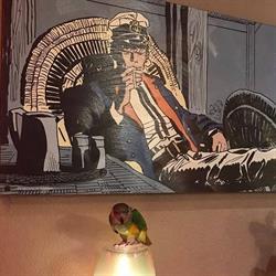 Le Corto, Gien - Horaires d'ouverture