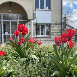 Mairie des Artigues-de-Lussac, Les Artigues-de-Lussac - Horaires d'ouverture