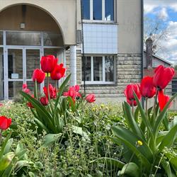 Mairie de Les Artigues-de-Lussac, - Horaires d'ouverture