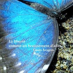 Expression Livre Ollioules - Horaires d'ouverture