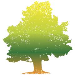 Jardinerie CAP VEGETAL, Lieurey - Horaires d'ouverture