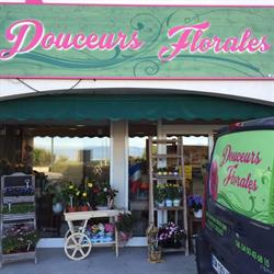 Douceurs Florales, Saint-Cergues - Horaires d'ouverture