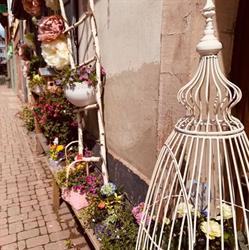 Côté Coeur Fleuriste, Wasselonne - Horaires d'ouverture