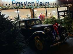 Passion Fleurs, Beaurainville - Horaires d'ouverture