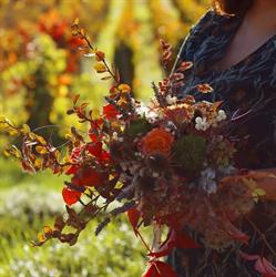 L'Atelier Des Fleurs Chagny, - Horaires d'ouverture