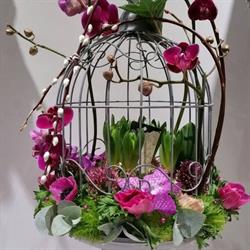 Jenny 'fleurs, Igny - Horaires d'ouverture