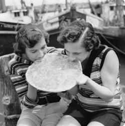 Le Globe, Le Verdon-sur-Mer - Horaires d'ouverture
